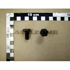 Vis 10X 20x1.5 4017 8.8 Y319002200 Amazone