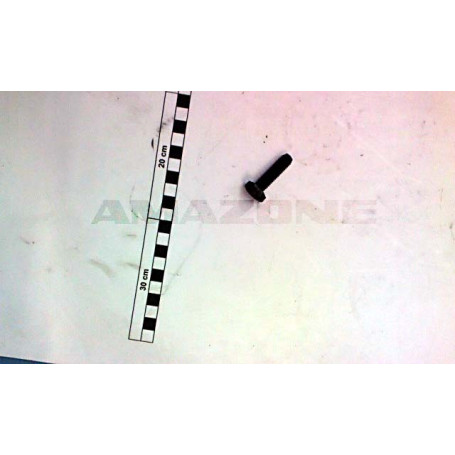 VIS 10X 35X1.5 4017  8.8 Réf. Y319044200 AMAZONE