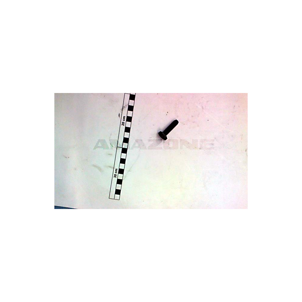 Vis 10X 35x1.5 4017 8.8 Y319044200 Amazone
