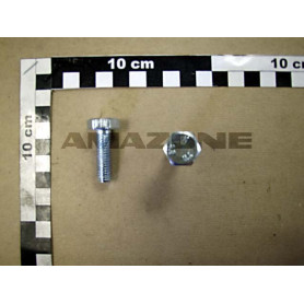 Vis 10X 30x1.5 8.8 KG3000/4000 Y319023200 Amazone
