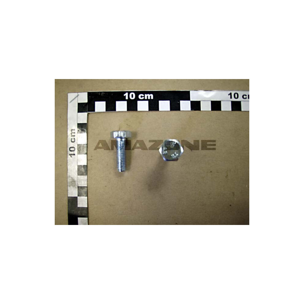 Vis 10X 30x1.5 8.8 KG3000/4000 Y319023200 Amazone