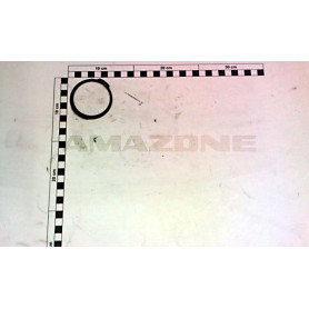 Circilp Y339000060 Amazone