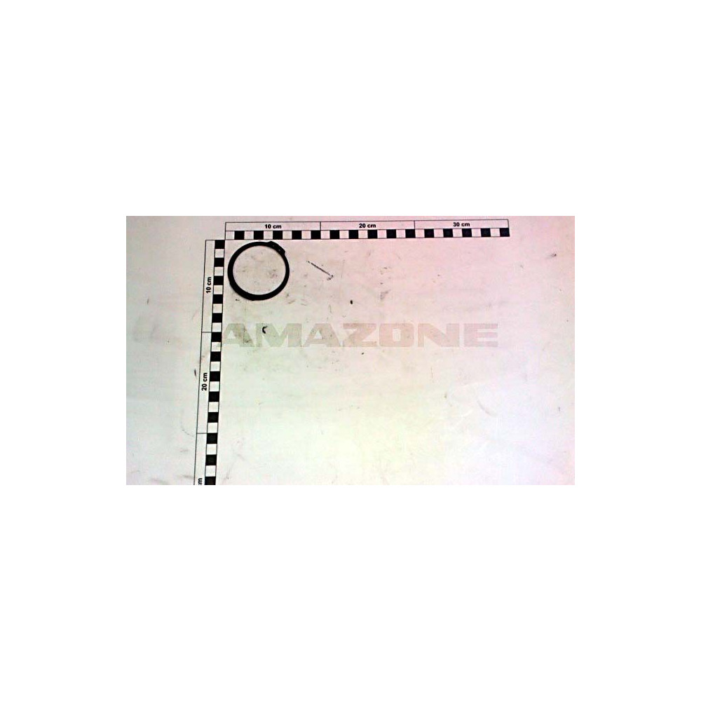 Circilp Y339000060 Amazone