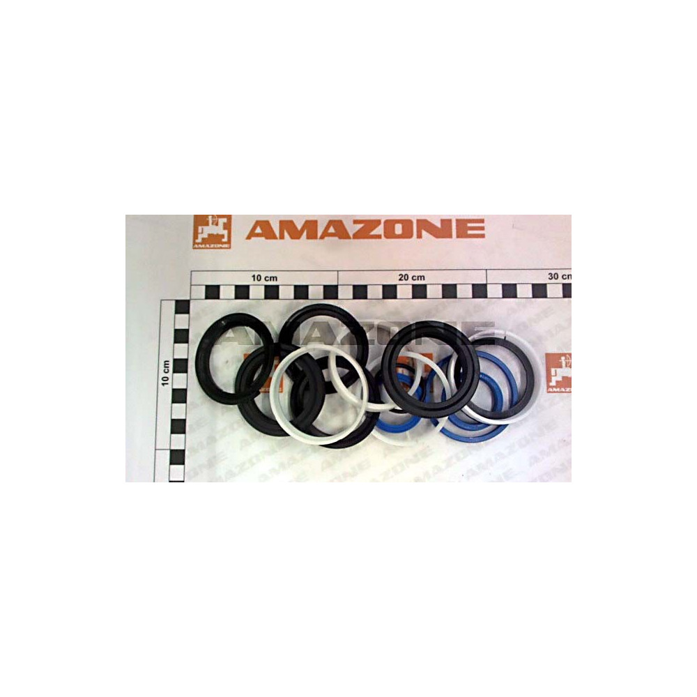 Jeu de joints verin GA113 Y351860303 Amazone
