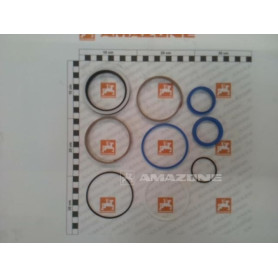 Kit joint de verin catros Y351880402 Amazone