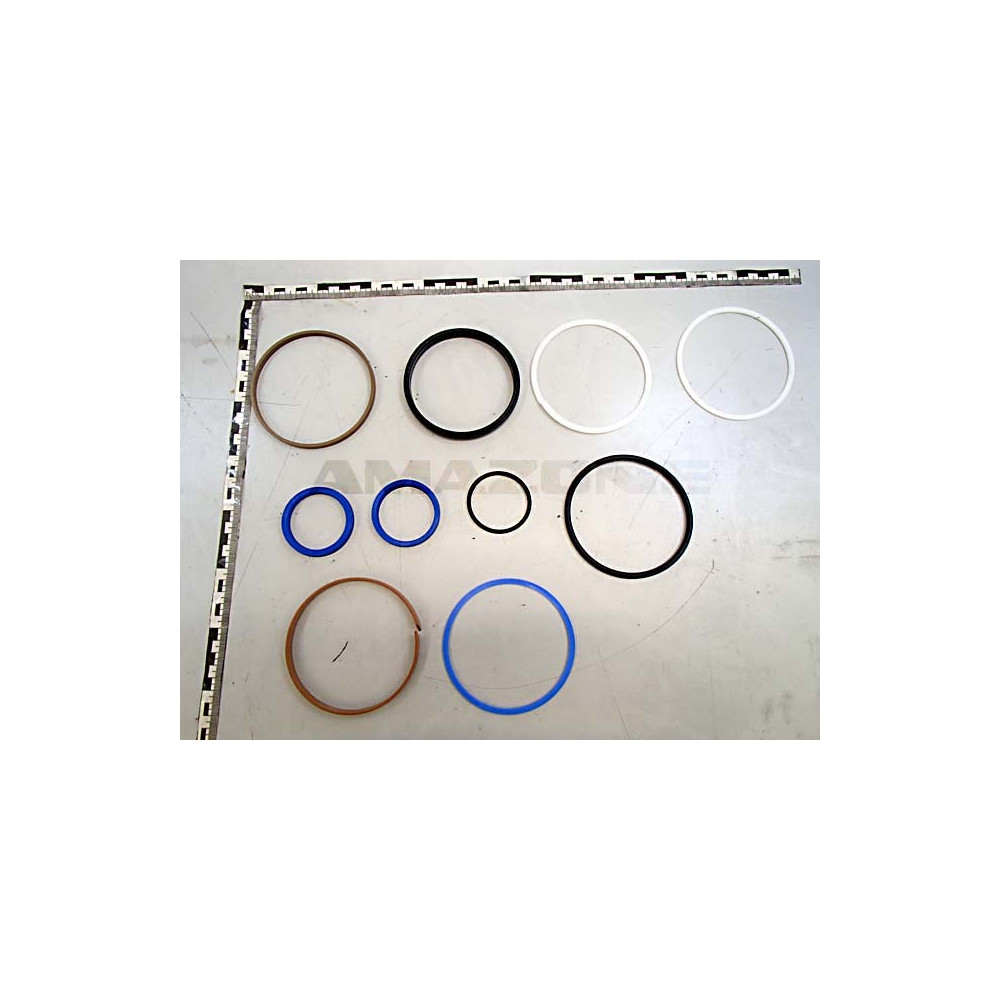 Jeu de joints verin GA189 Y351910501 Amazone