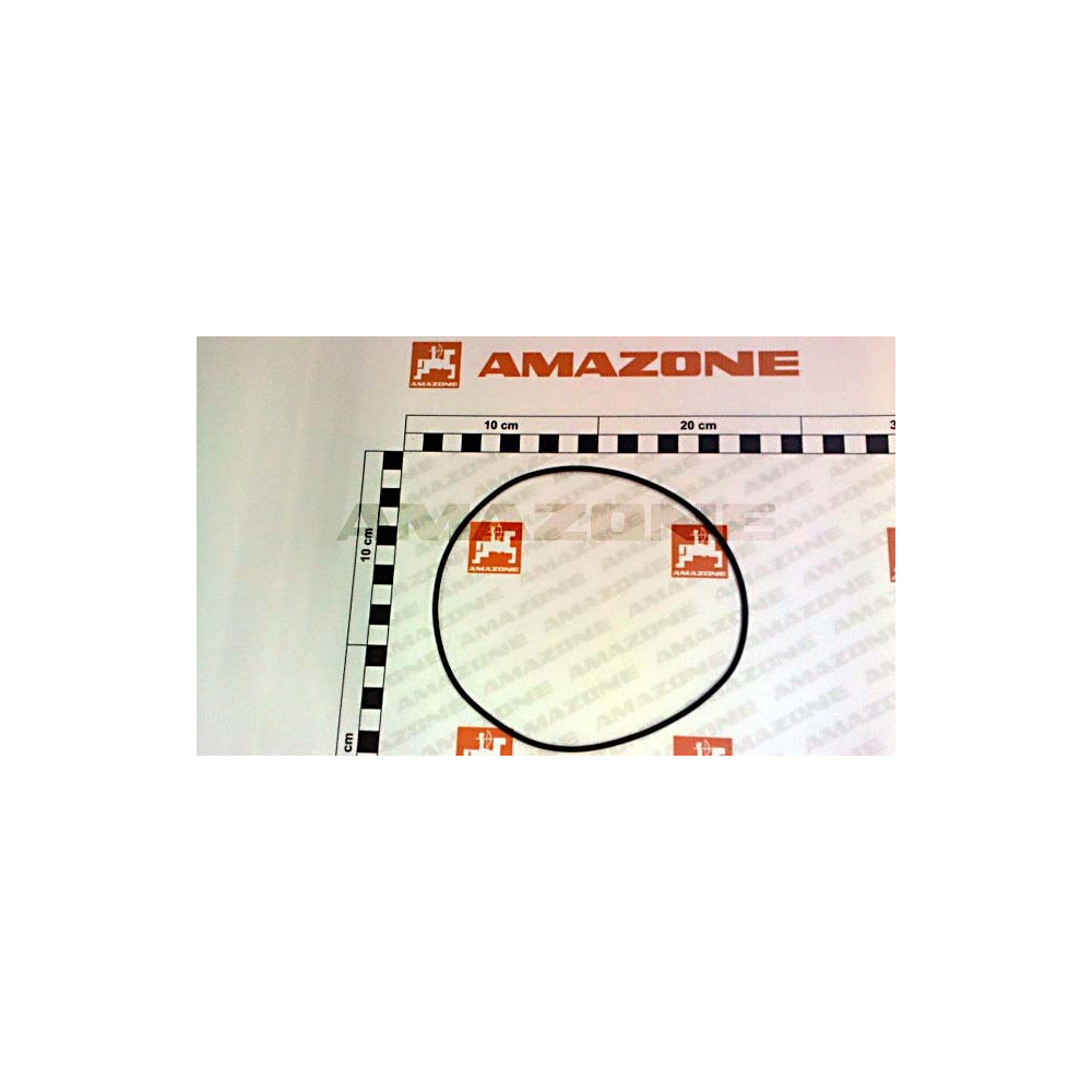 Joint tor. 139.37 X 2.62 Y358000006R02 Amazone