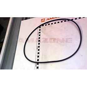 Joint carter boitier cirrus Y358002910 Amazone