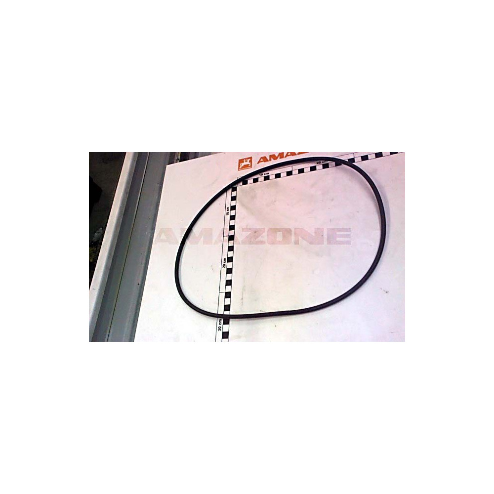 Joint carter boitier cirrus Y358002910 Amazone
