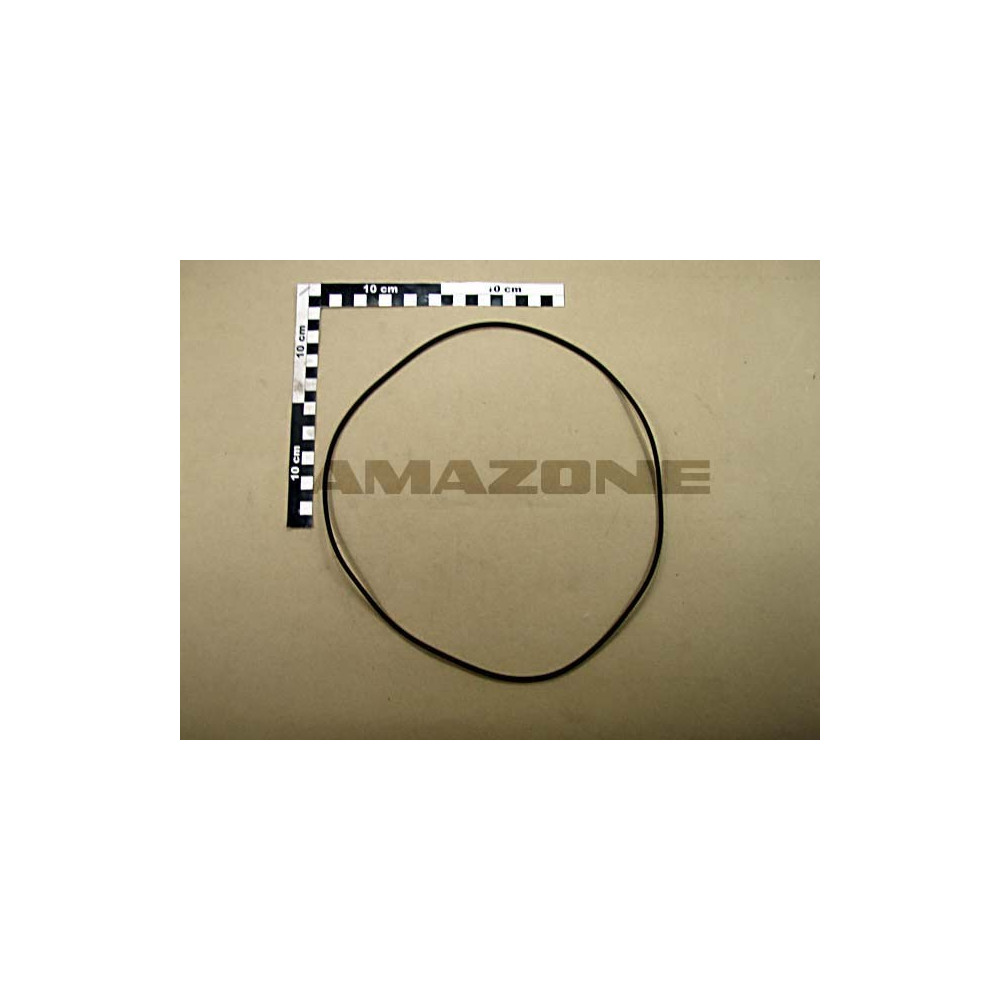 Joint 41050 266,27X3,53 Y358111000 Amazone