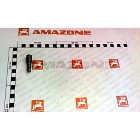 Vis blocage Y403000021R10 Amazone