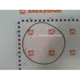 Joint torique 170X2 Y41220900000 Amazone