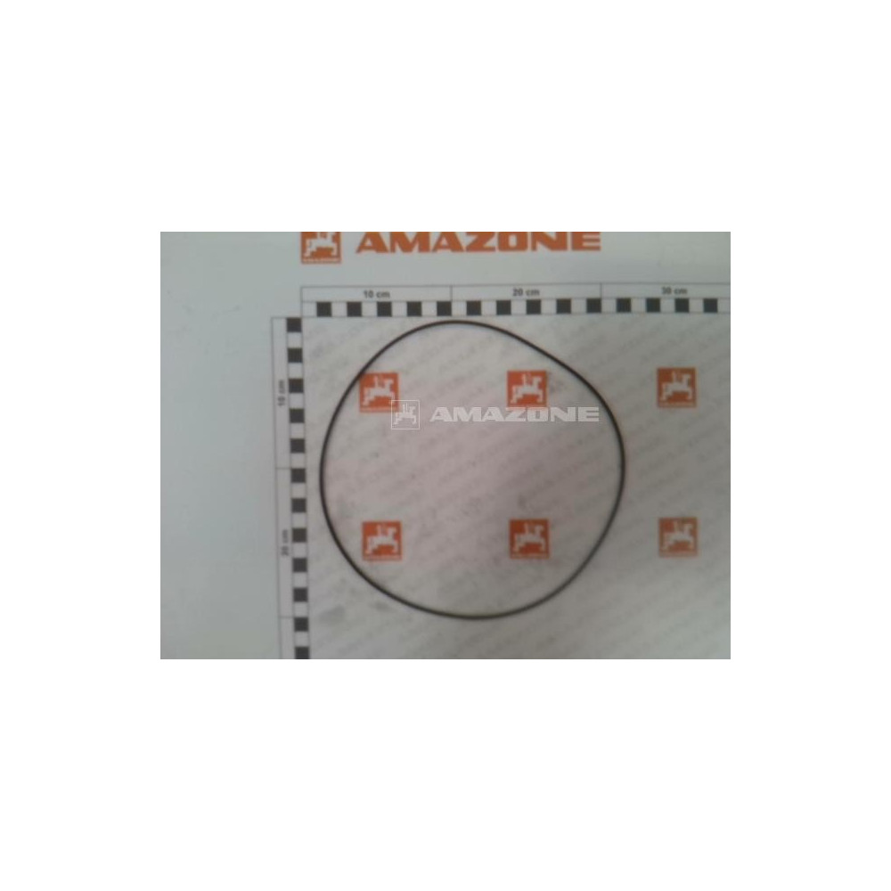 Joint torique 170X2 Y41220900000 Amazone