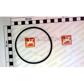 Joint torique 94,84 X 3,53 Y41232400000 Amazone