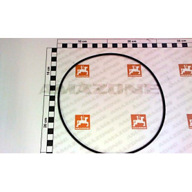 Joint torique 190,09 X 3,53 Y41236300000 Amazone