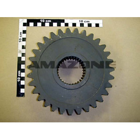 Pignon Z 31 Y551289 Amazone