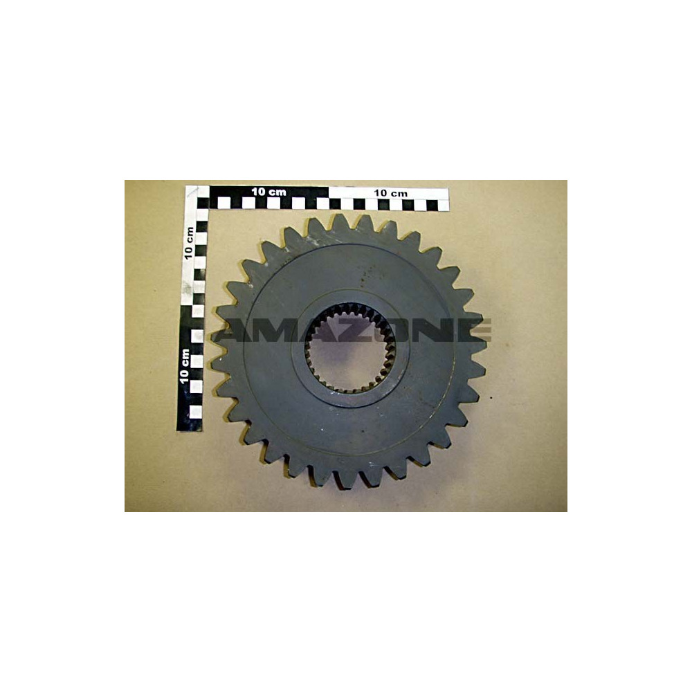 Pignon Z 31 Y551289 Amazone