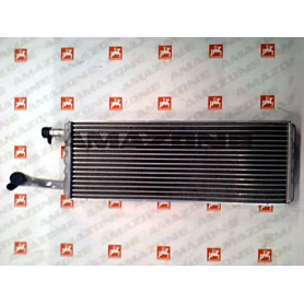 Radiateur ( chauffage ) Y5588070 Amazone