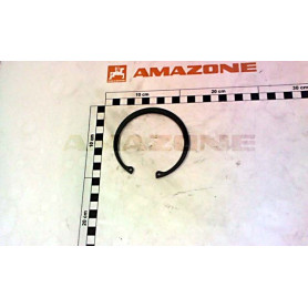 Cale Y596084 Amazone