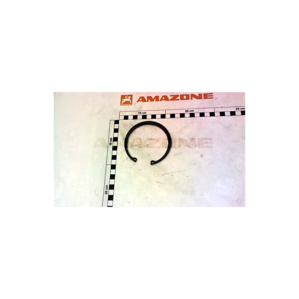 Cale Y596084 Amazone