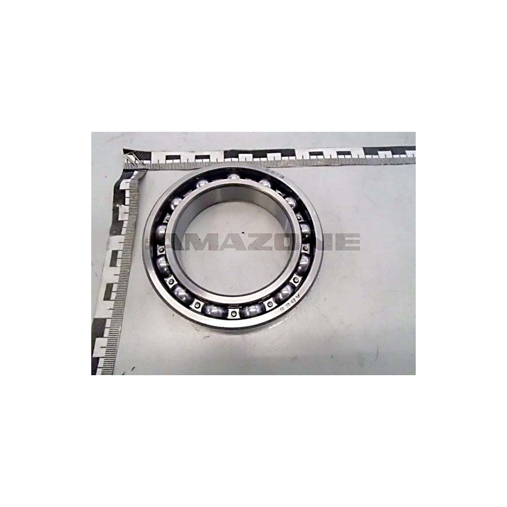 Roulement ZG-B Y6010097 Amazone