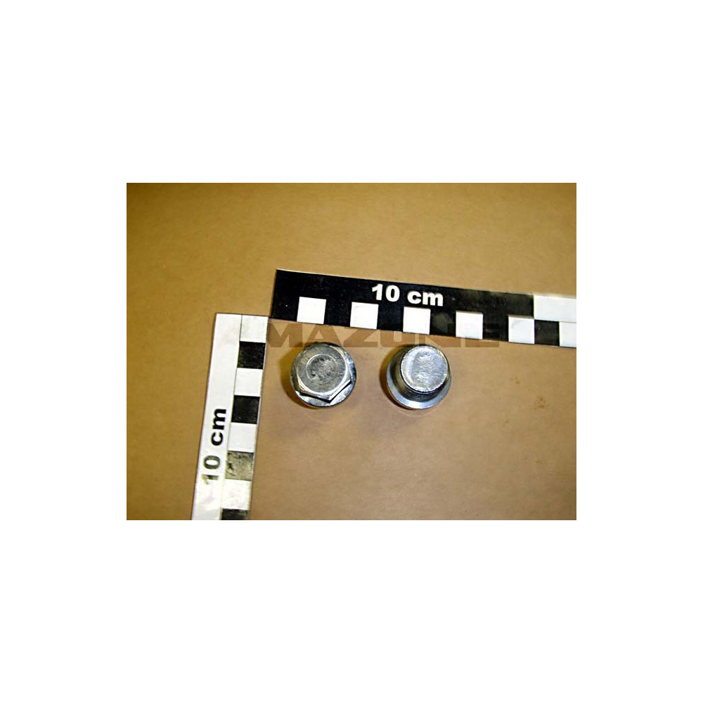 Vis 18x1.5 910 Y6030576 Amazone