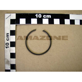 Bague SB 44 Y6035504 Amazone