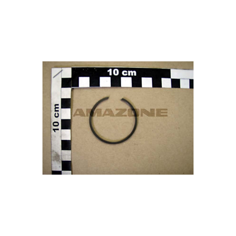 Bague SB 44 Y6035504 Amazone