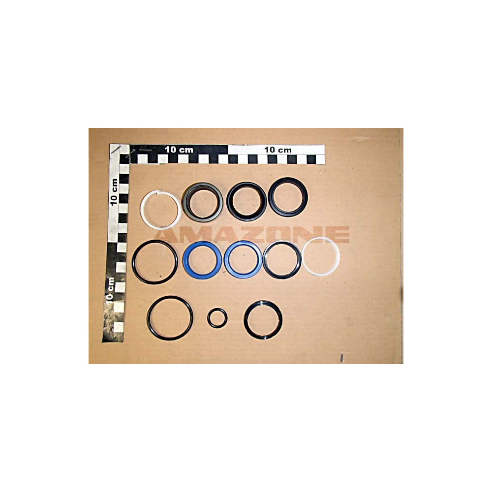 Jeu de JTS verin GA242 PH Y6101029 Amazone