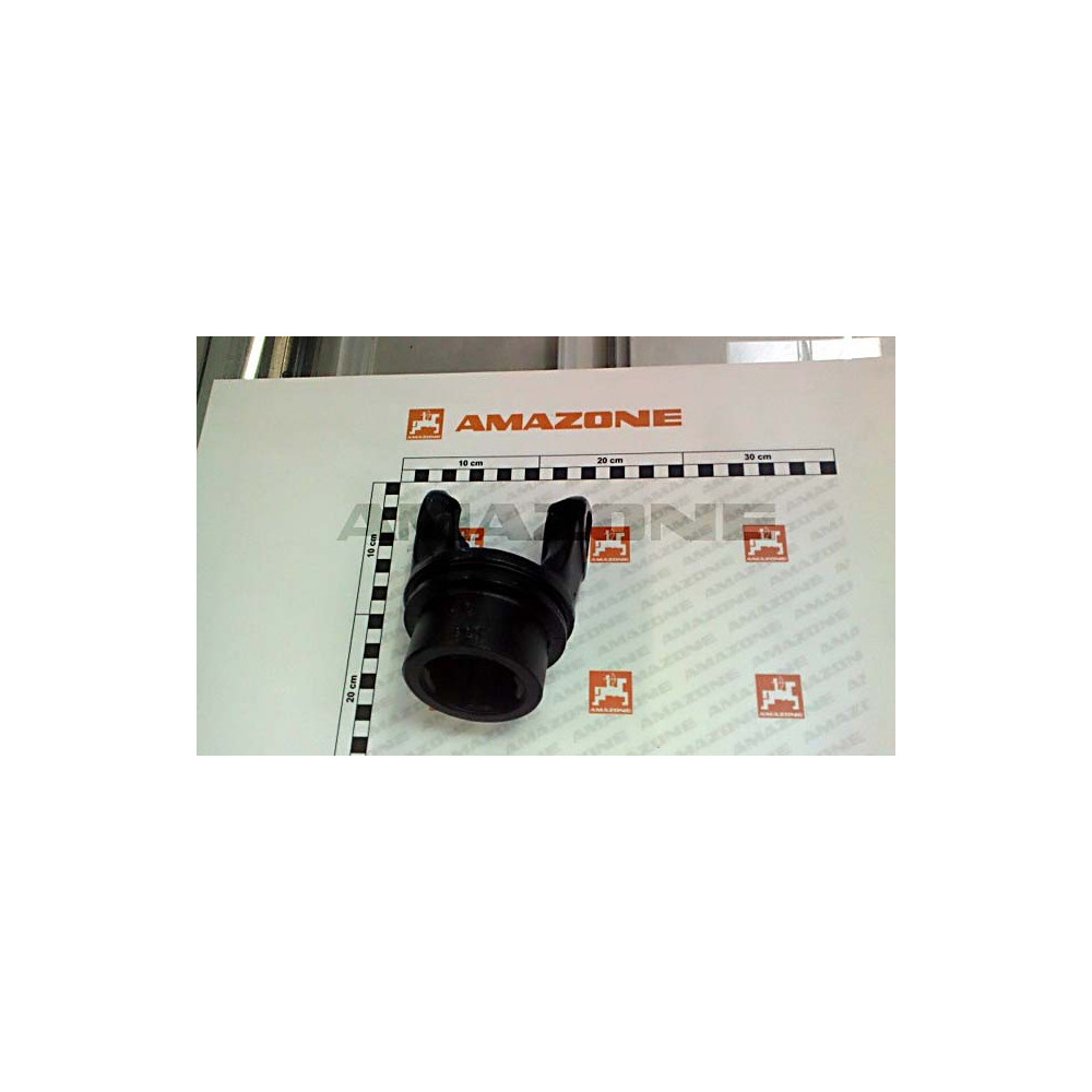 Machoire int.sft-h8 YY00339 Amazone