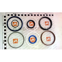 JEUX DE JOINTS VERIN GA259 Réf. YY00421 AMAZONE