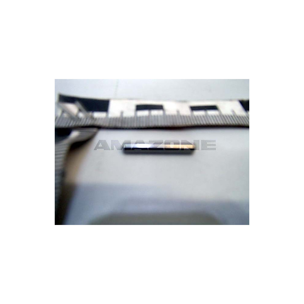 Goupille YY00467 Amazone