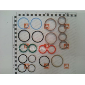 Pochette joints verin GA347 YY00766 Amazone