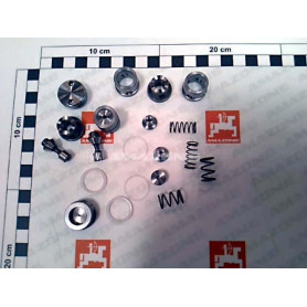 Kit clapet verin charrue YY00768 Amazone