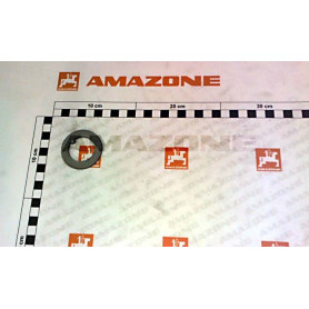 Rondelle 48X30X3 YY00777 Amazone