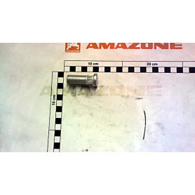 Vis M16 X 45 10.9 YY00771 Amazone