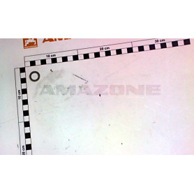 Rondelle 13 X 20 X 2 YY01102 Amazone