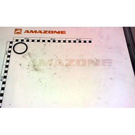 Joint torique 44 X 4 YY01213 Amazone