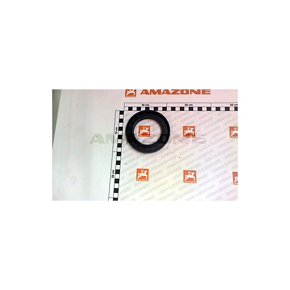 Joint tor. 65X100X10 YY01369 Amazone
