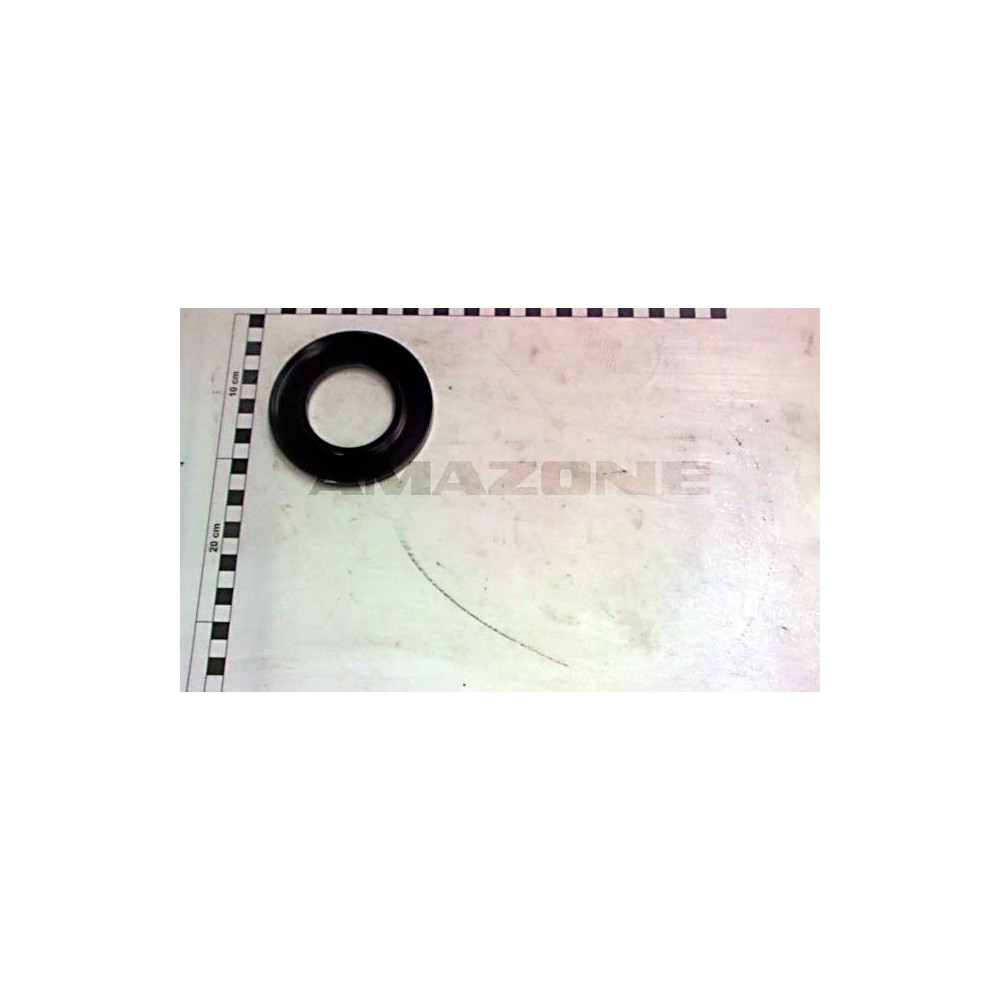 Anneau d'essieu YY01367 Amazone
