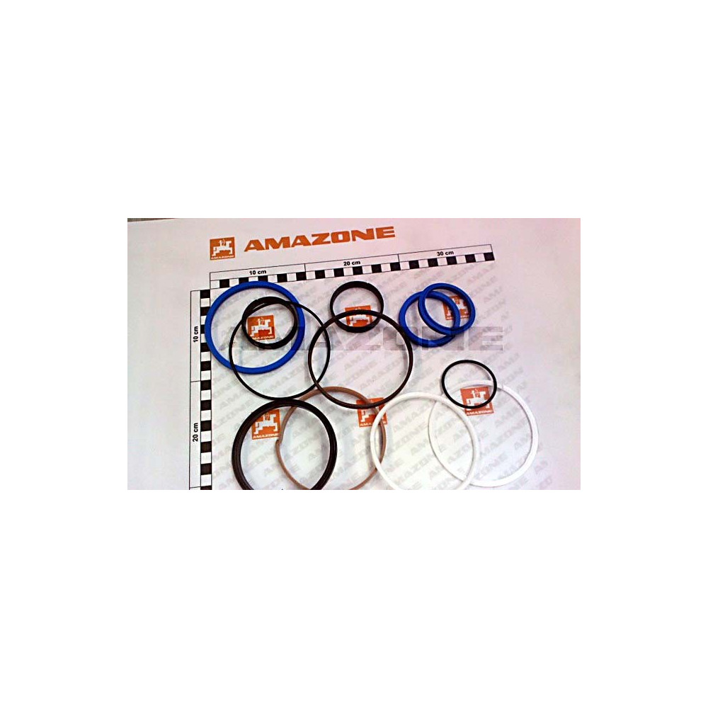 Jeu de joints pour GA494 YY01395 Amazone