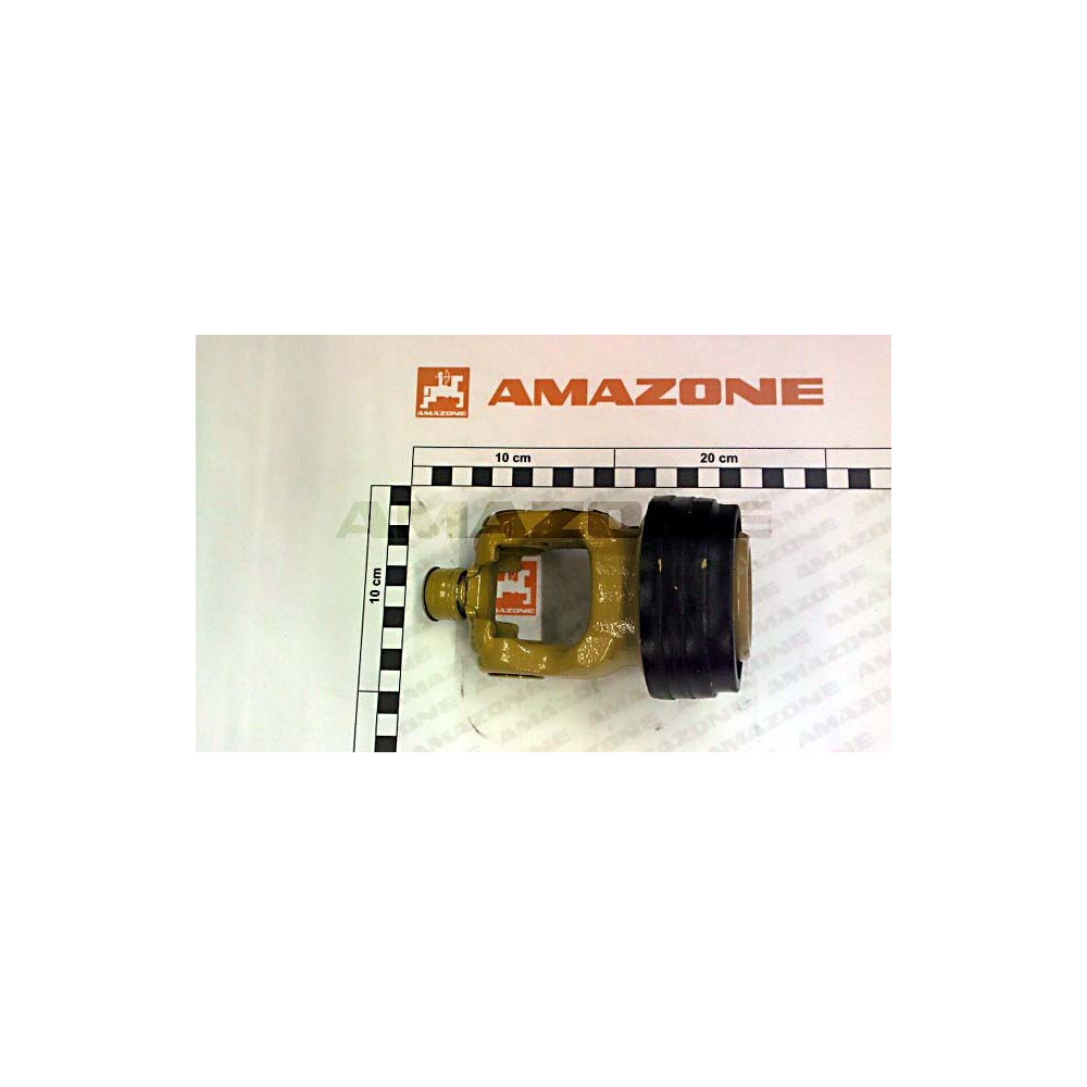 Machoire YY01602 Amazone