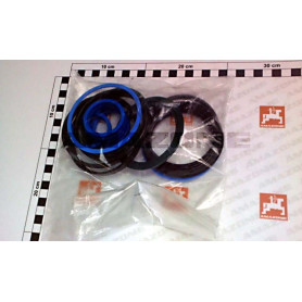 Pochette de joints verin GA393 YY01808 Amazone