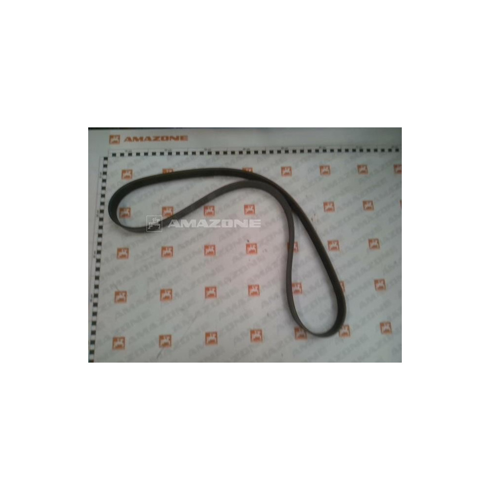 Courroie PPE EAU alternat. pantera YY02199 Amazone
