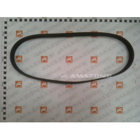 Courroie de clim pantera 7004 YY02483 Amazone