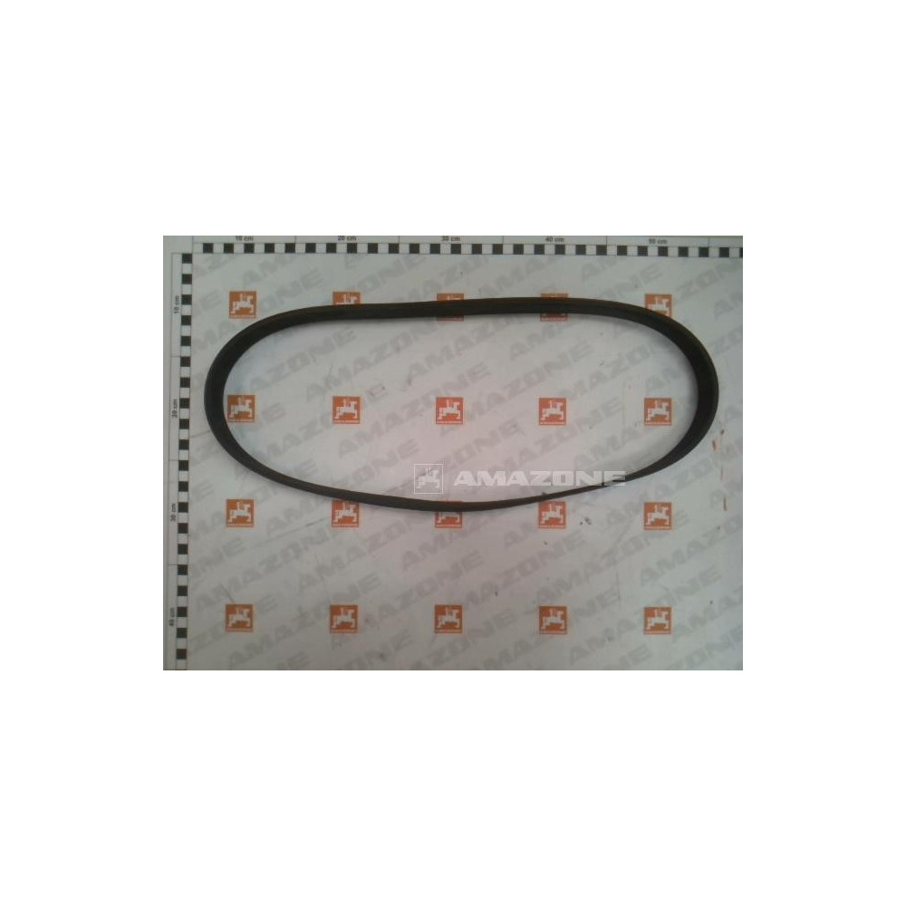 Courroie de clim pantera 7004 YY02483 Amazone