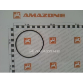 Joint torique 101.19 X 3.53 YY02604 Amazone