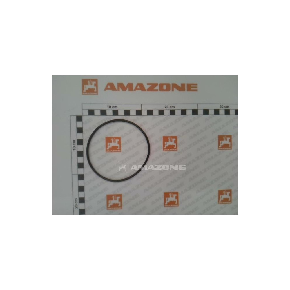 Joint torique 101.19 X 3.53 YY02604 Amazone