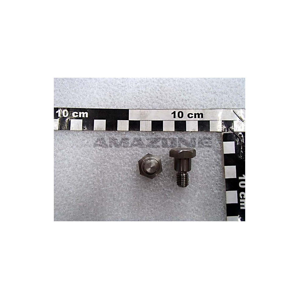 Vis de membrane ZF1193 Amazone