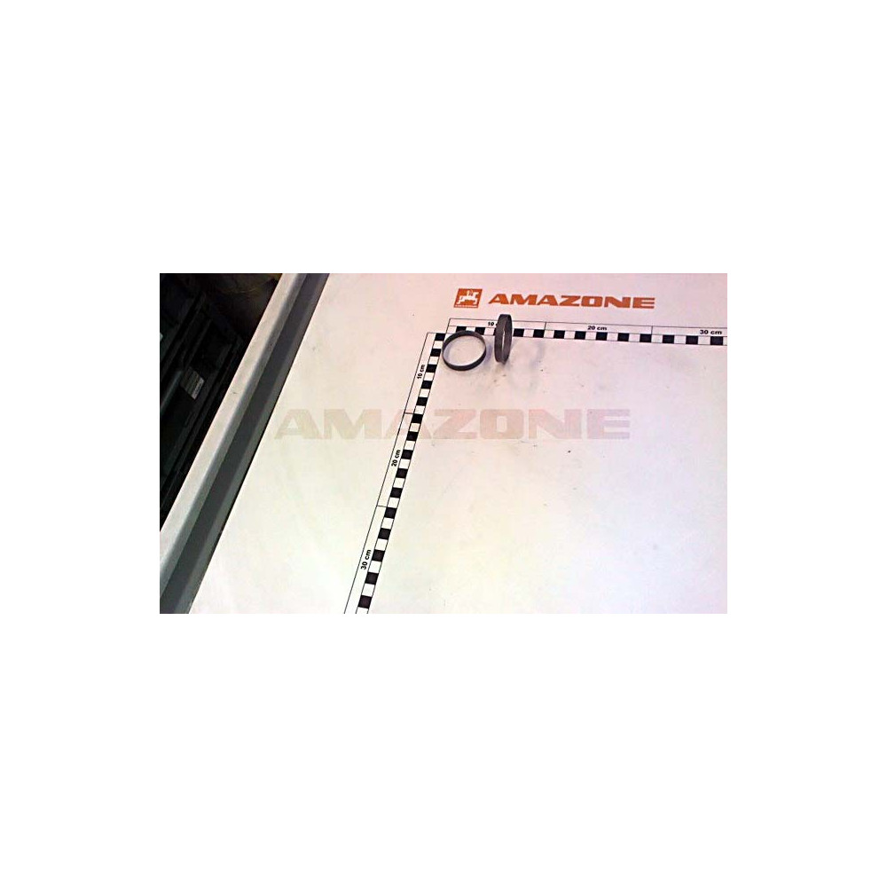 Bague excentrique ZF1207 Amazone